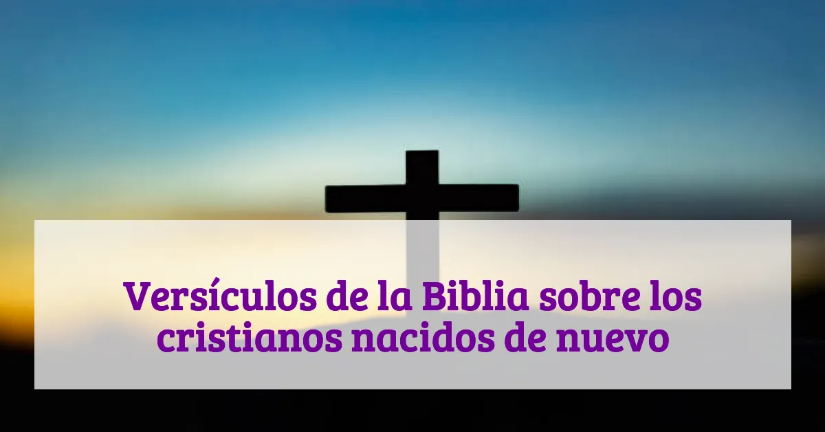 Versículos de la Biblia sobre los cristianos nacidos de nuevo