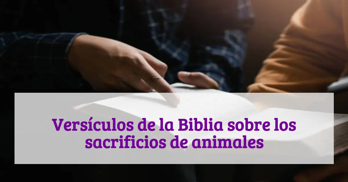 Versículos de la Biblia sobre los sacrificios de animales