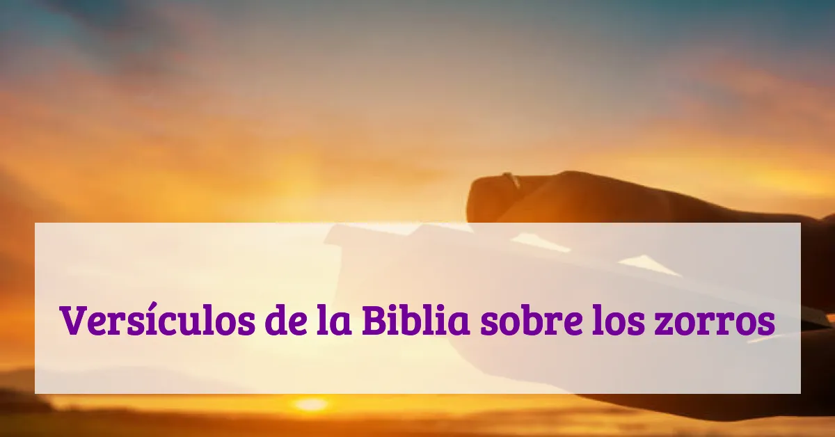 Versículos de la Biblia sobre los zorros