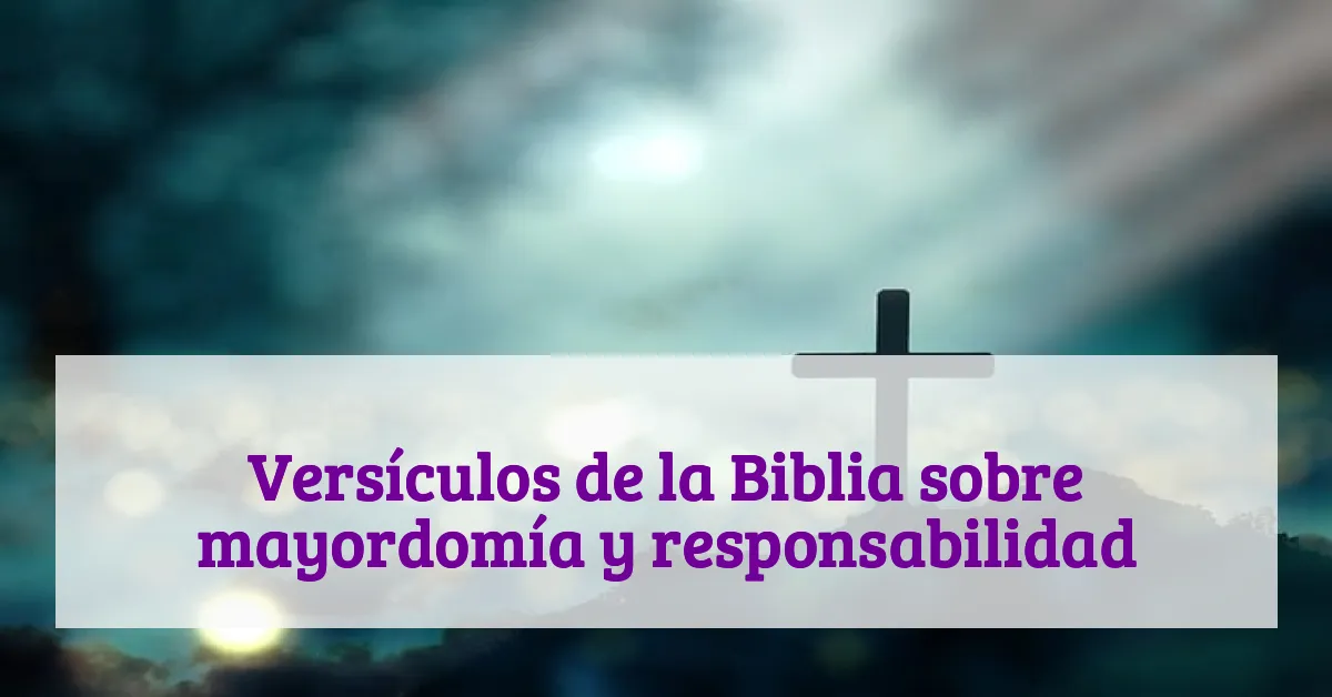 Versículos de la Biblia sobre mayordomía y responsabilidad