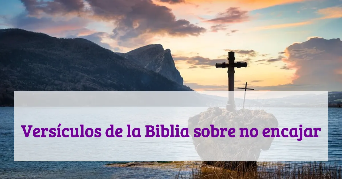Versículos de la Biblia sobre no encajar