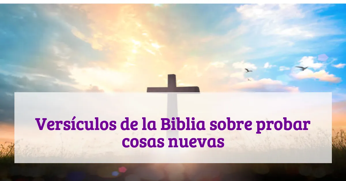 Versículos de la Biblia sobre probar cosas nuevas