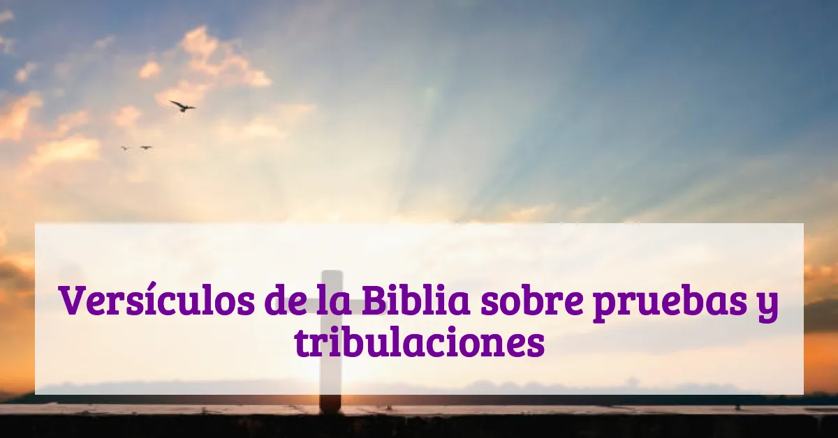Versículos de la Biblia sobre pruebas y tribulaciones