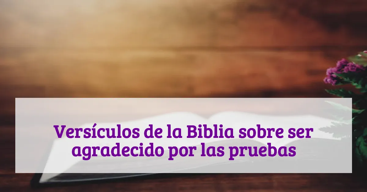 Versículos de la Biblia sobre ser agradecido por las pruebas