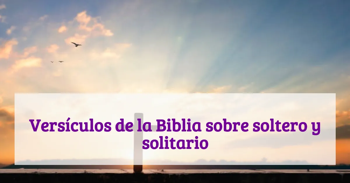 Versículos de la Biblia sobre soltero y solitario