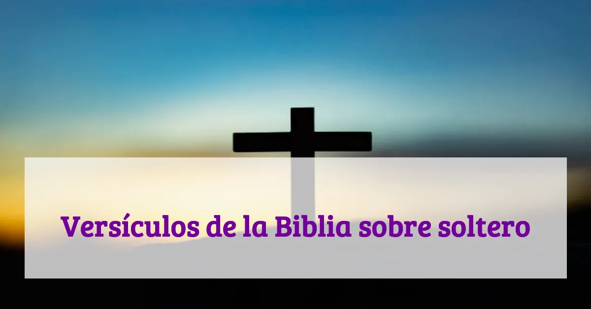 Versículos de la Biblia sobre soltero