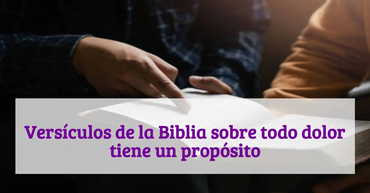 Versículos de la Biblia sobre todo dolor tiene un propósito