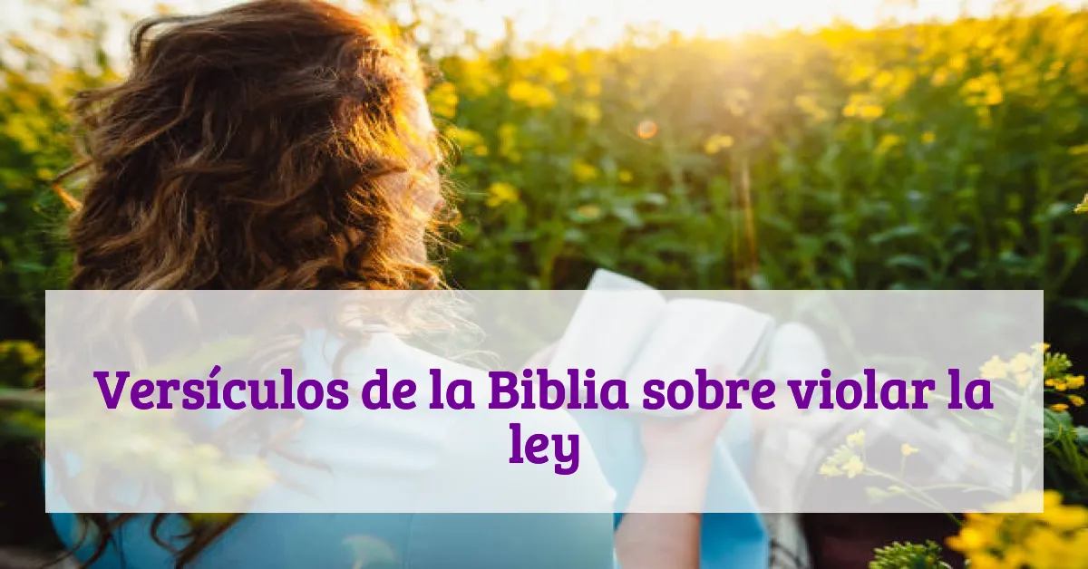 Versículos de la Biblia sobre violar la ley