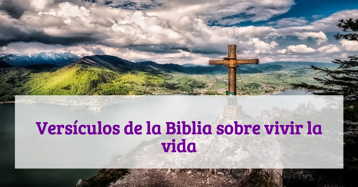 Versículos de la Biblia sobre vivir la vida