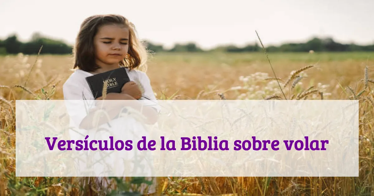 Versículos de la Biblia sobre volar